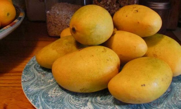Ensalada de Quinoa con Mangos