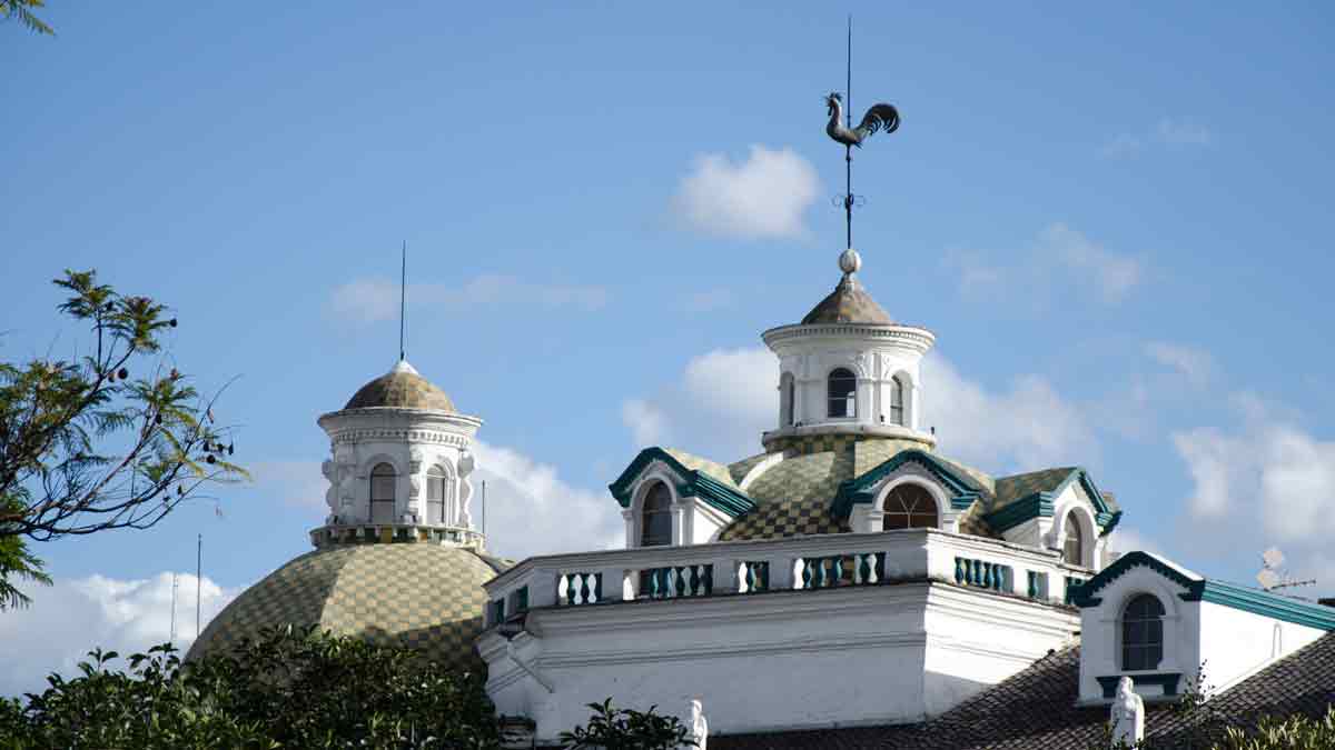 El gallo más famoso de Quito