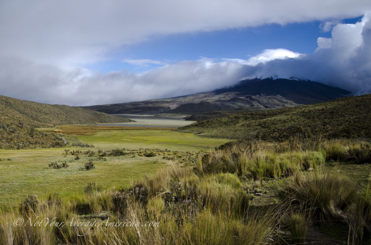 Limpiopungo – Wetlands at Cotopaxi National Park