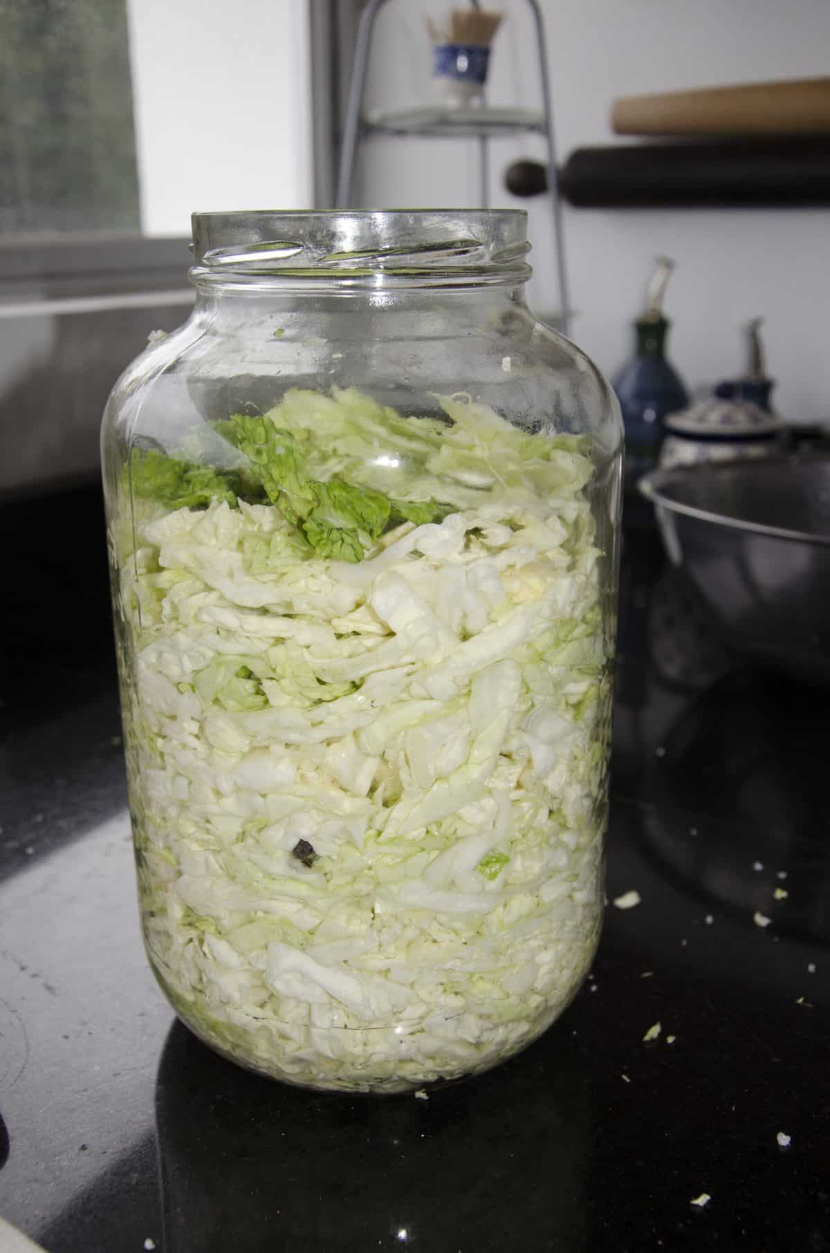 Whole cabbage leaves on top of the future kraut. Pressing down helped push out more liquid from the cabbage.