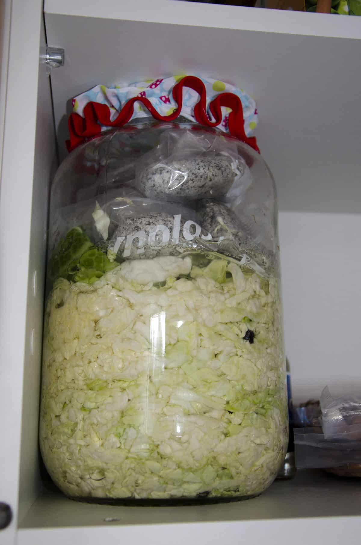 The next day, the liquid has raised up over the amount of cabbage. It's ready to sit and ferment.