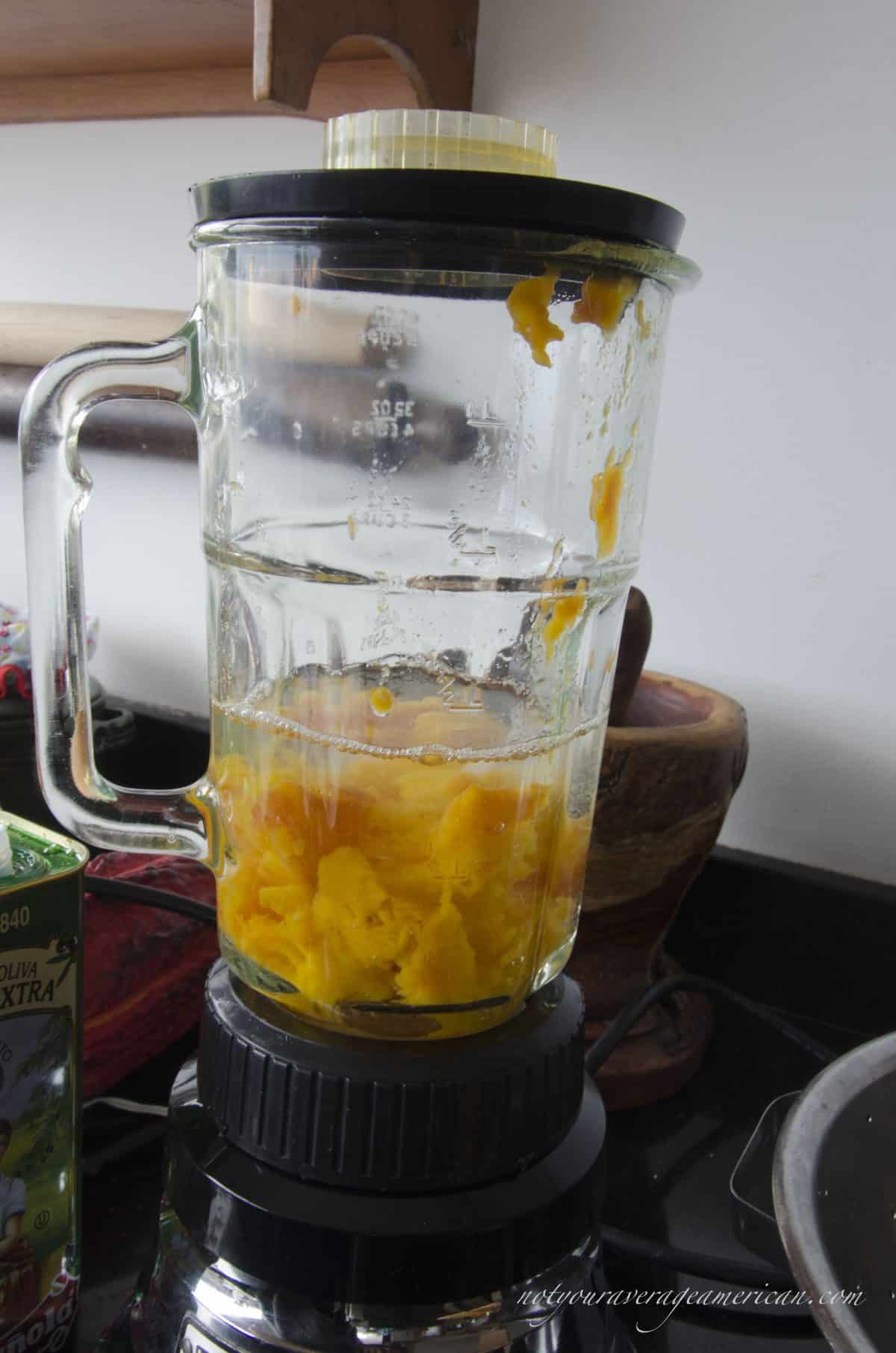 Tree Tomatoes and Water in Blender, Ecuadorian Hot Sauce with Ginger