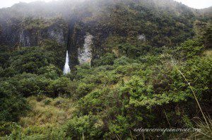 Cayambe-Coca National Reserve