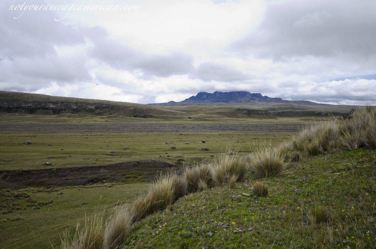 Ancient lahar flow in the distance, Pucara Salitre, Cotopaxi National Park, Ecuador
