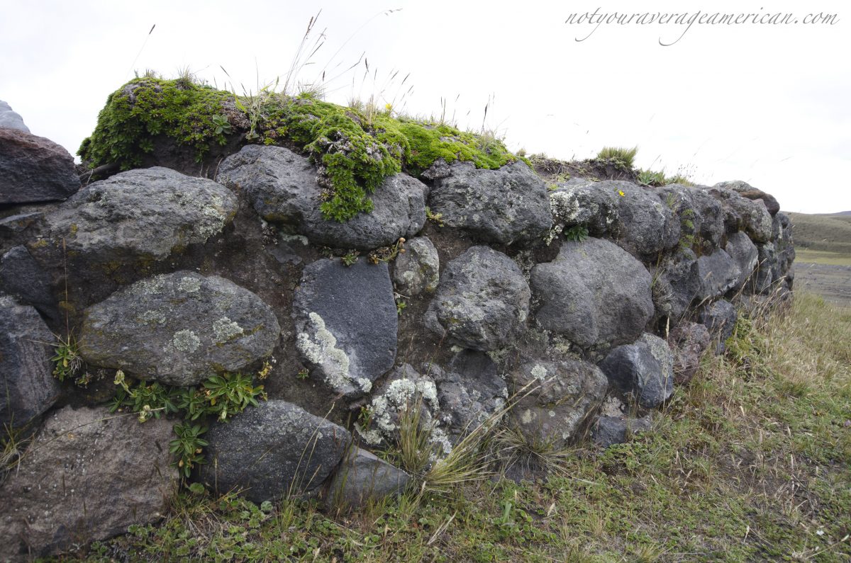 Detalle del muro de piedra en el lado norte, Pucara Salitre, Parque Nacional Cotopaxi, Ecuador