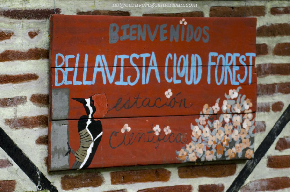 The Bellavista Research Station – Not Only For Scientists