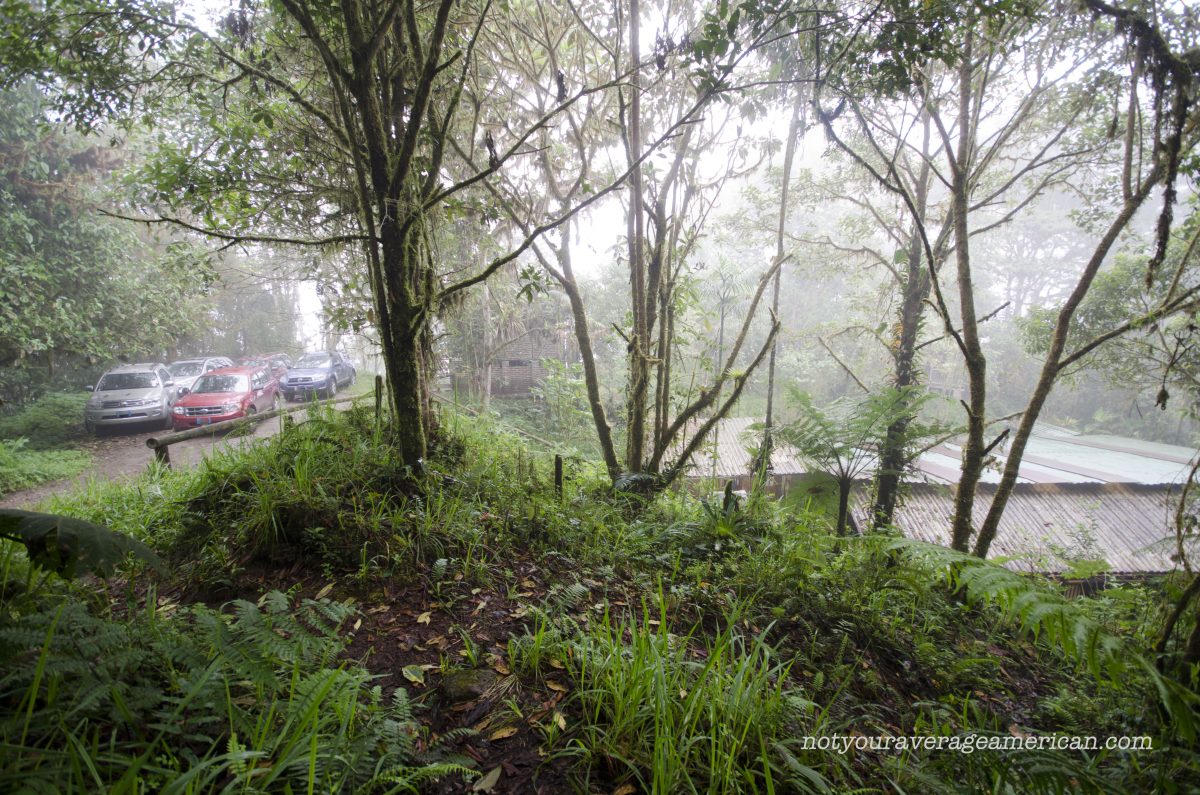 The parking lot on the left and the Research Station roof on the right. | ©Angela Drake