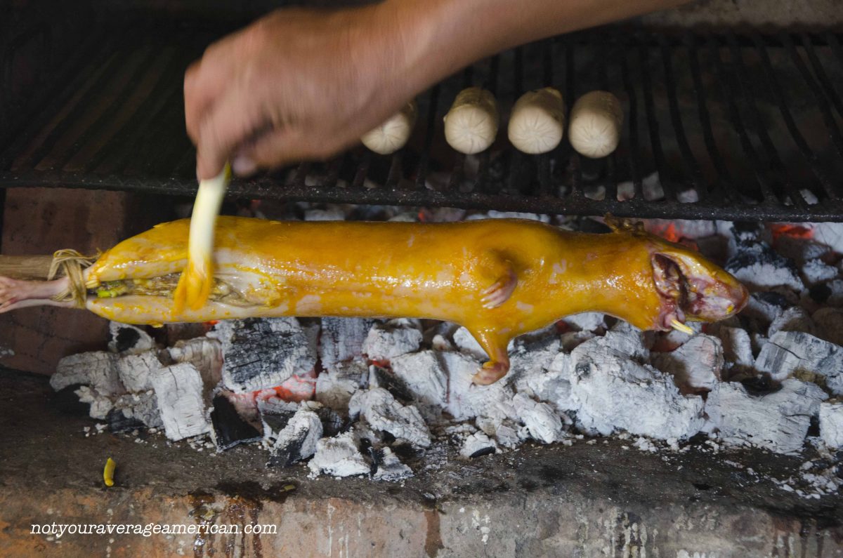 Achiote oil adds a golden touch and keeps the skin moist while roasting | ©Angela Drake