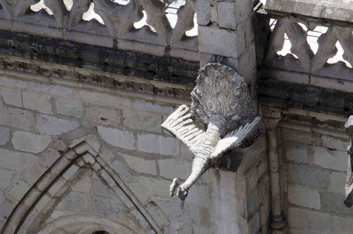 This grotesque is shaped like a peacock, a bird brought to Ecuador by the Spanish | ©Angela Drake