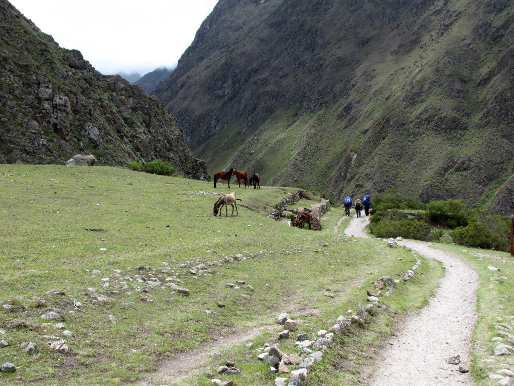 On the trail near Llactapata