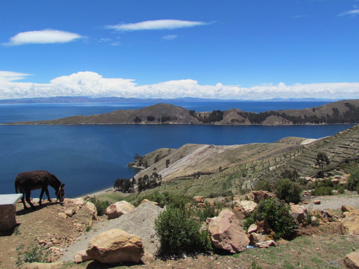 View of Lake Titicaca from the farside of Inti Wata, Isla del Sol, Bolivia | ©Angela Drake
