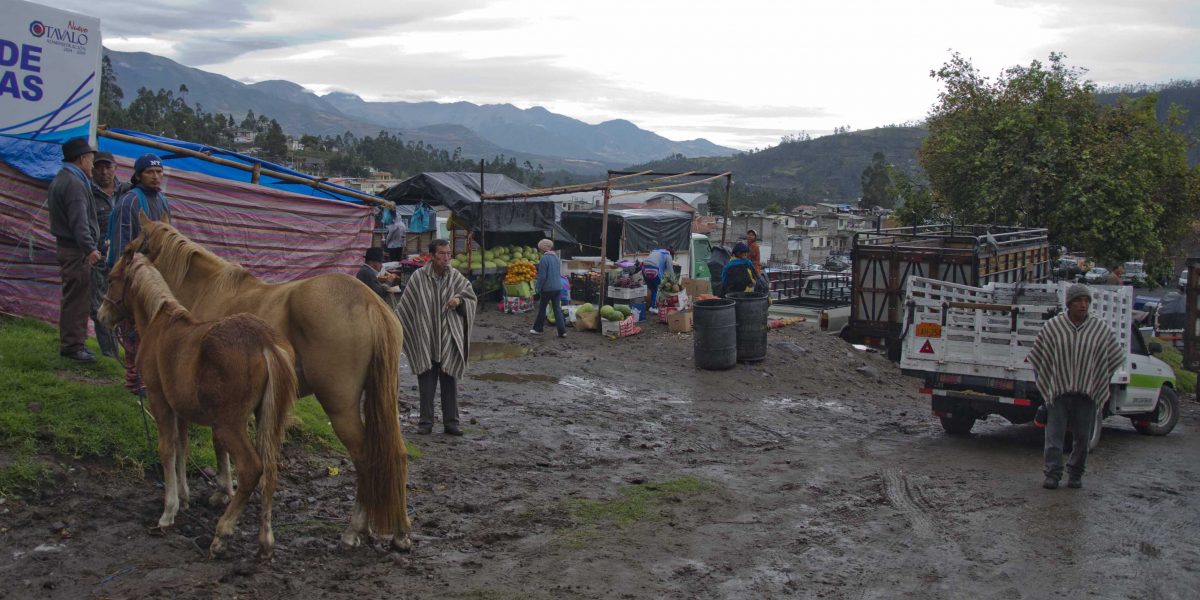 Horses for sale at the animal market, Otavalo, Ecuador | ©Angela Drake