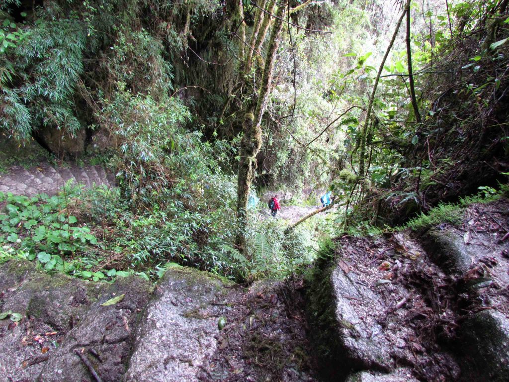 Steps Around the Intipata Site