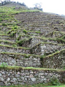 Detail of terrace walls at Intipata