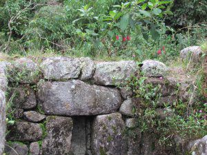 Niche and wall backed up to the jungle