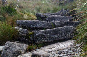 Steps on the Inca Trail
