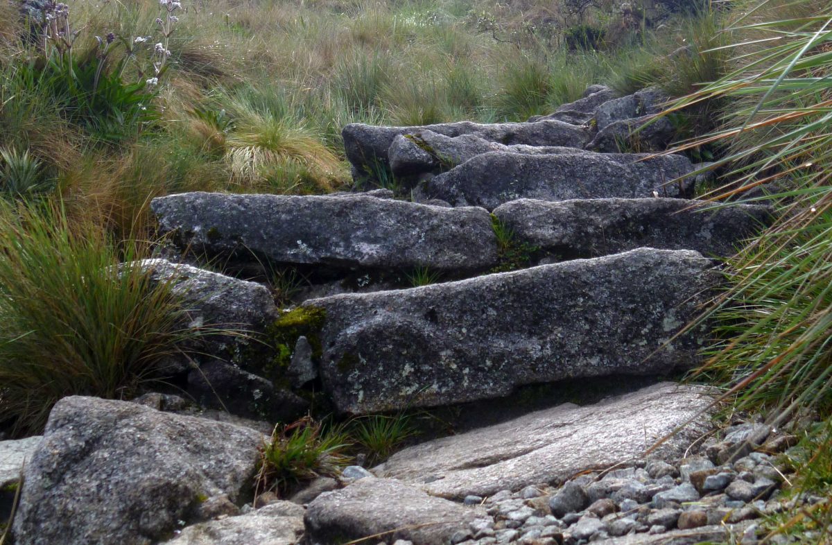 Steps on the Inca Trail | ©Angela Drake