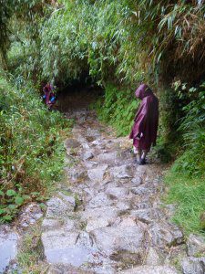 Author hiking downhill