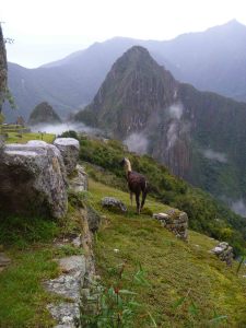 The Machu Picchu equivalent to a Walmart-greeter