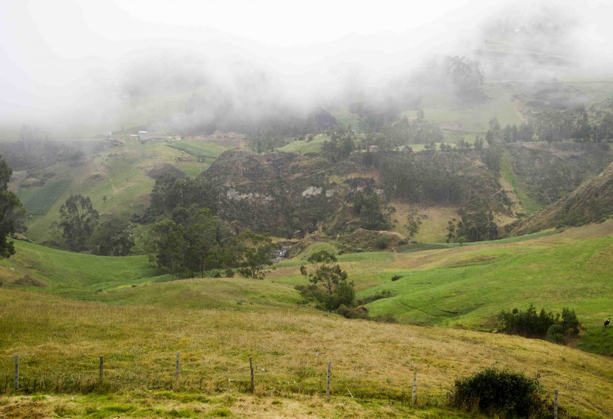Early Morning Fog, The Posada Ingapirca, Cañar Province, Ecuador