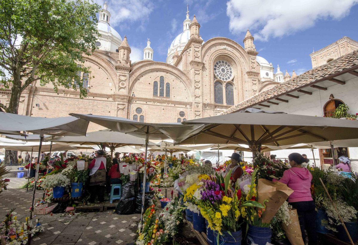 The New Cathedral from the Flower Market, Cuenca, Ecuador