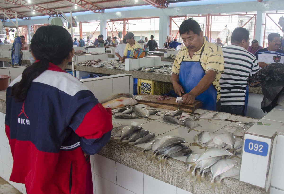 Buying at the Fish Market, La Libertad, Salinas, Ecuador