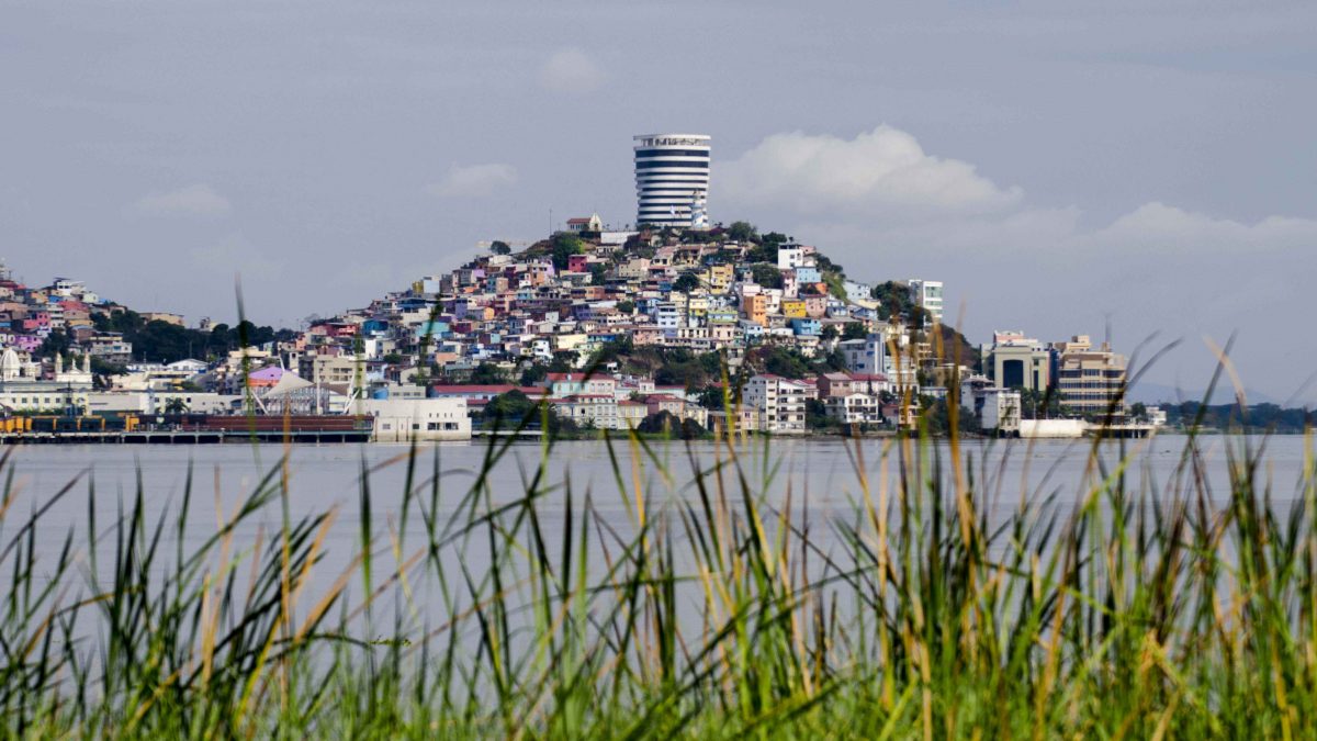 View of Cerro Santa Ana from Isla Santay, Guayaquil, Ecuador | ©Angela Drake