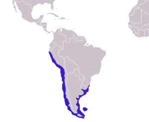 South American Sea Lion Distribution