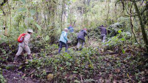 Hiking with a birding guide at Cabañas San Isidro, Ecuador | ©Angela Drake