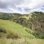 Trail switchbacks across pasture land