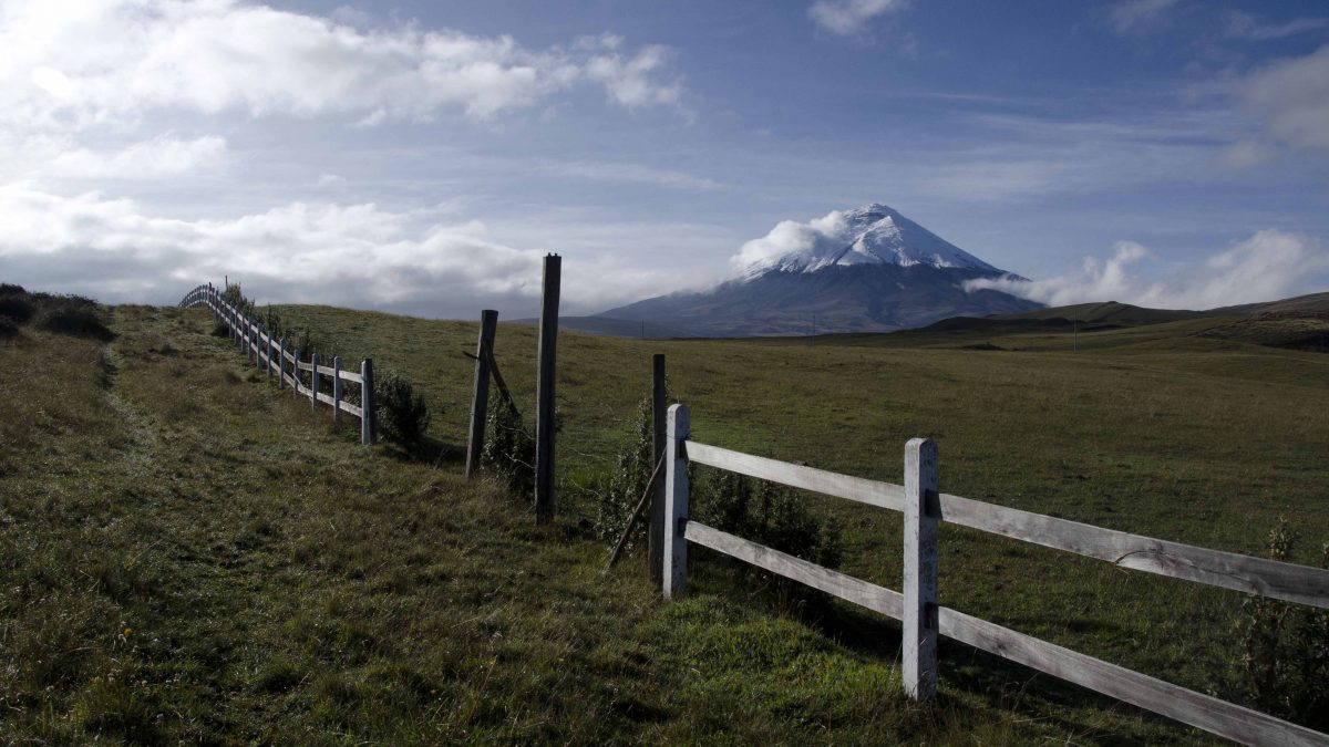 The Volcano Cotopaxi as seen from Los Mortiños | ©Angela Drake