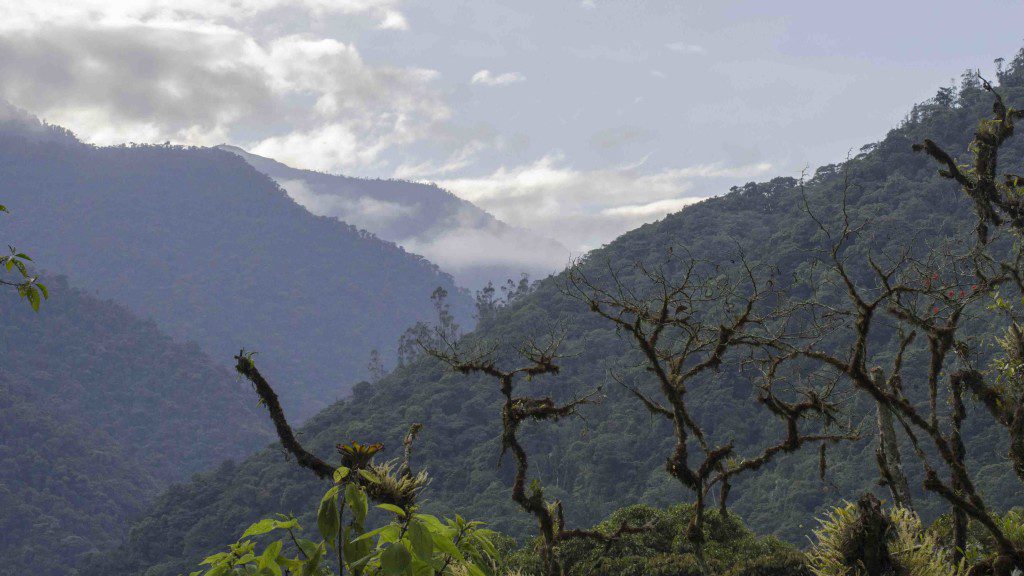 View from San Jorge Tandayapa Reserve 