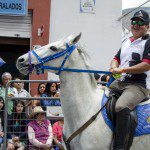 Parade Day - Cacería del Zorro