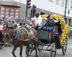 Carriage in the Caceria del Zorro parade
