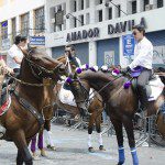 Parade Day - Cacería del Zorro