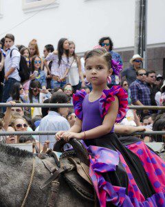 Parade Day - Cacería del Zorro