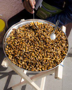 Catzos for Sale in Otavalo