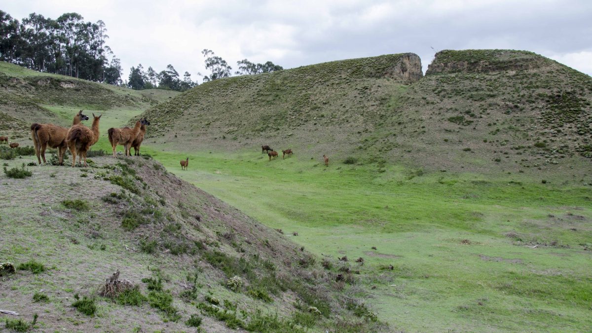 Ancient Pyramid, Cochasquí, Ecuador | ©Angela Drake / Not Your Average American