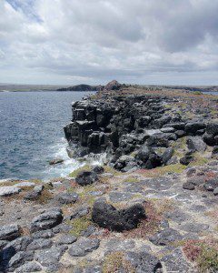 Rocky Cliffs, South Plaza Island, the Galapagos