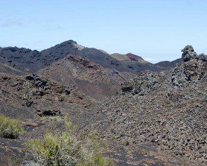 Crater Rim of Sierra Negra