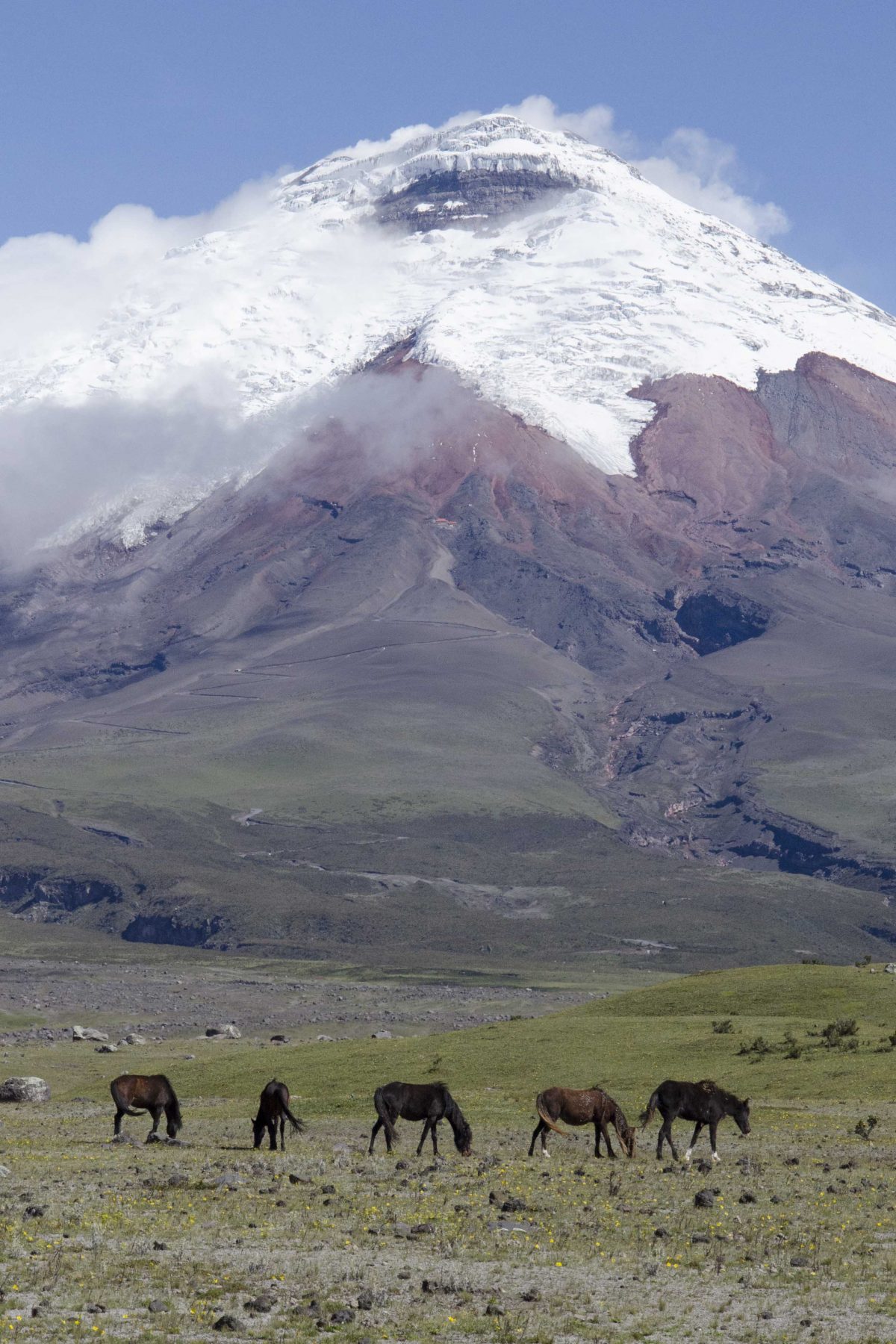 Cotopaxi Province, Ecuador Por Mis Ojos