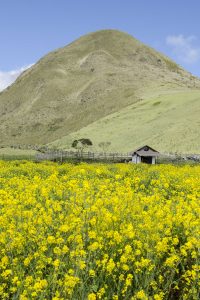 Cotopaxi Province, Ecuador Por Mis Ojos