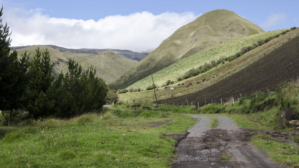 Backroad, Ilinizas Ecologic Reserve