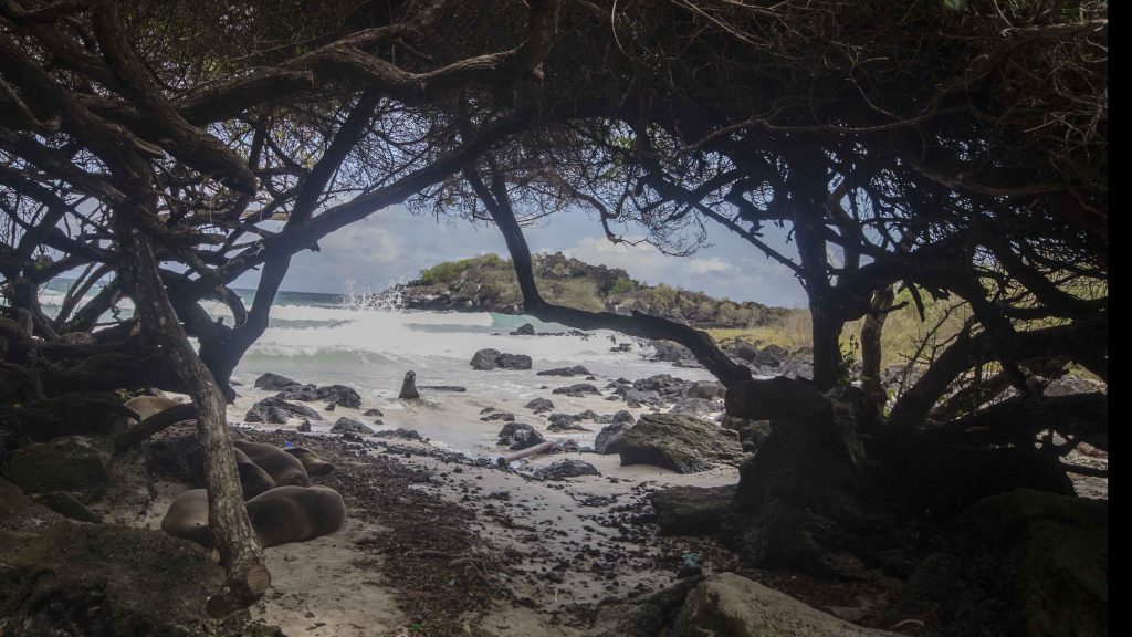 Puerto Chino, view of private cove