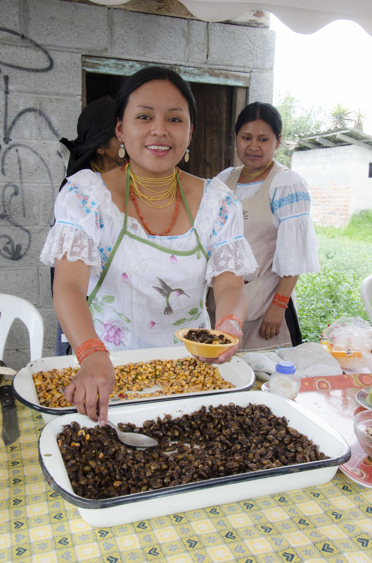 Catzos, or beetles, served in Peguche, Ecuador| ©Angela Drake