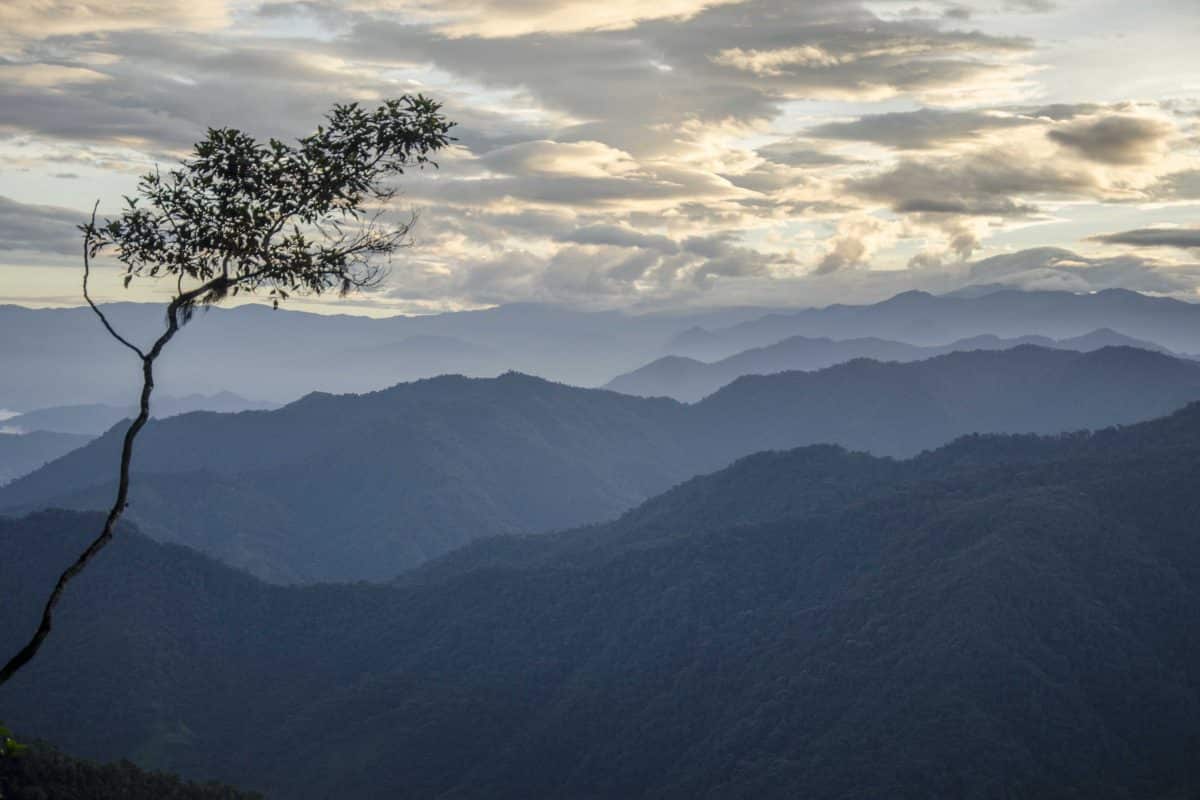 The Andes as seen before dawn from the Tandayapa - San Tadeo Road, Ecuador| ©Angela Drake