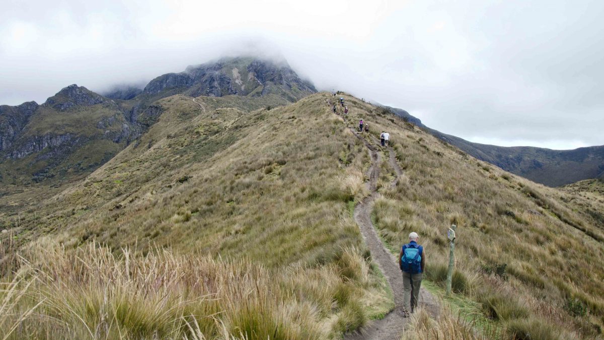 Steps on the Inca Trail | ©Angela Drake