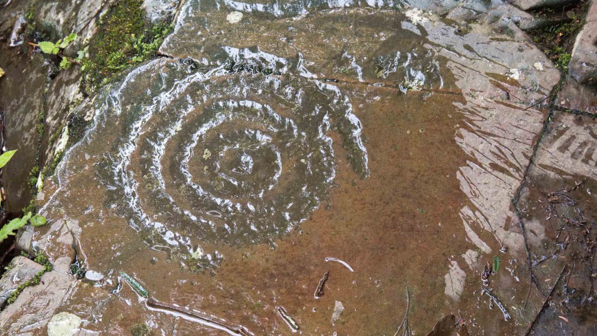 Spiral Petroglyph, Rio Chirapi, Pacto, Ecuador