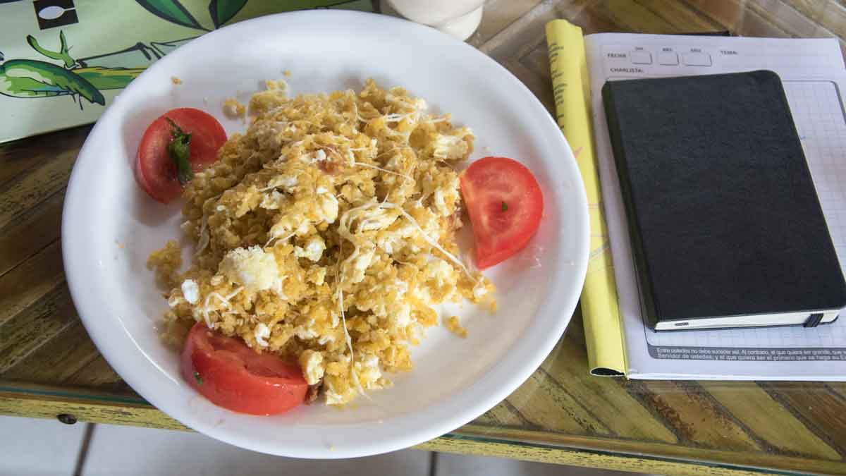 Tigrillo, the breakfast of champions | ©Angela Drake