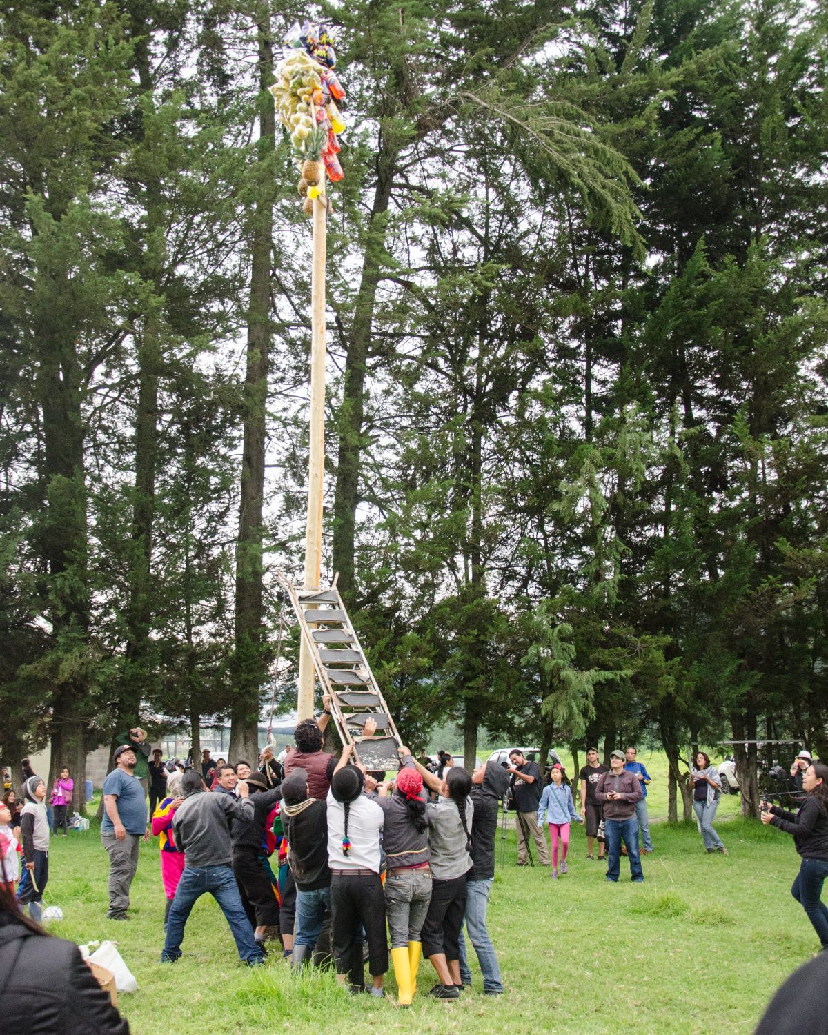 Raising the Food Tree, Kapak Raymi, Quito, Ecuador | ©Angela Drake / Not Your Average American
